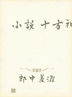 小说 十方神王