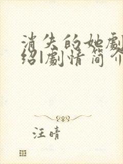 消失的她剧情介绍|剧情简介