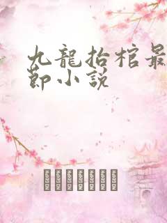 九龙抬棺最新章节小说