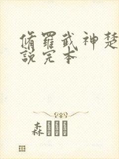 修罗武神楚枫小说完本