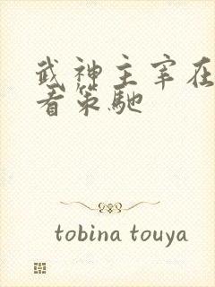 武神主宰在线观看策驰