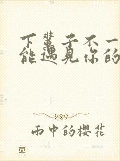 下辈子不一定还能遇见你的歌词
