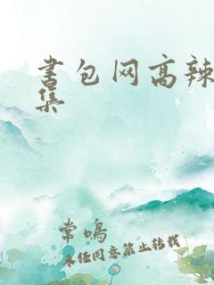 书包网高辣文合集