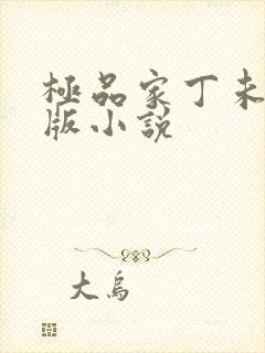 极品家丁未删节版小说