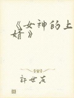 《女神的上门豪婿 》