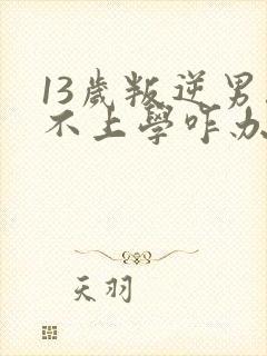 13岁叛逆男孩不上学咋办