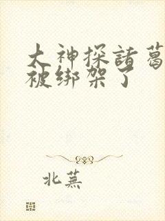 大神探诸葛九九被绑架了