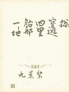 一胎四宝总裁爹地哪里逃