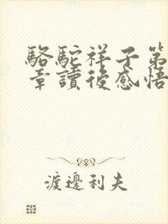 骆驼祥子第十七章读后感悟