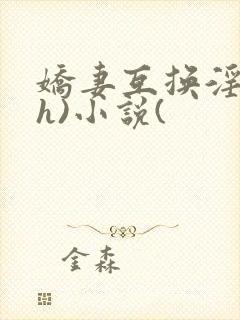 娇妻互换淫欢(h)小说(
