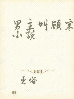 男主叫顾寒夜的小说