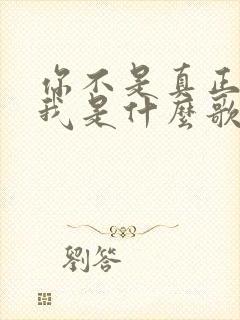 你不是真正的爱我是什么歌