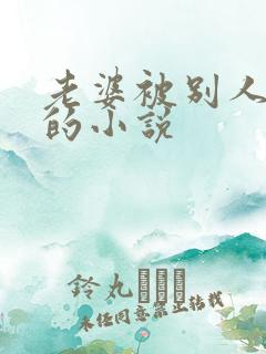 老婆被别人调教的小说