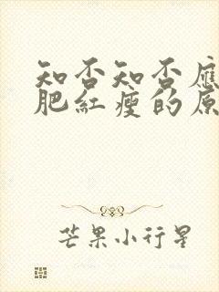 知否知否应是绿肥红瘦的原著