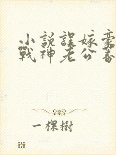 小说误嫁豪门,战神老公蓄意偏宠全文阅读