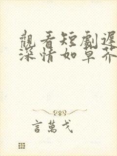 观看短剧迟来的深情如草芥