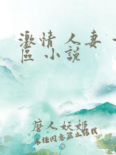 激情 人妻 一区 小说