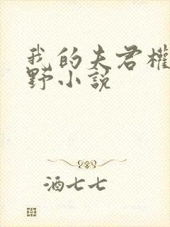 我的夫君权倾朝野小说