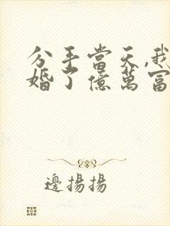 分手当天,我闪婚了亿万富豪全