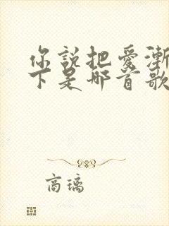 你说把爱渐渐放下是哪首歌的歌词