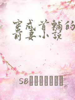 穿成首辅的炮灰前妻小说