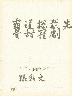 霸道总裁先婚后爱甜宠剧