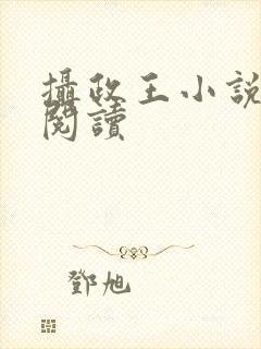 摄政王小说免费阅读