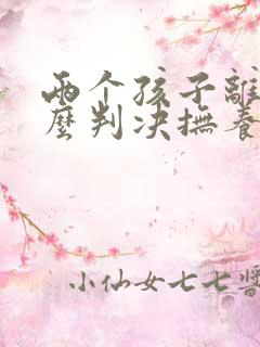 两个孩子离婚怎么判决抚养费