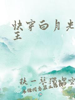 快穿白月光双男主