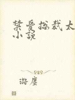 禁爱总裁太霸道小说