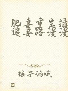 肥妻重生摄政王追妻路漫漫短剧