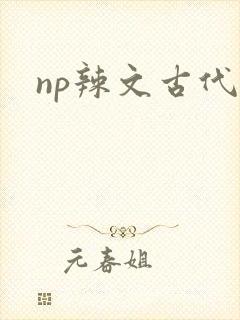 np辣文古代