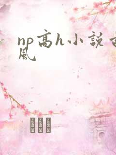 np高h小说古风