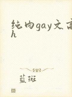 纯肉gay文高h