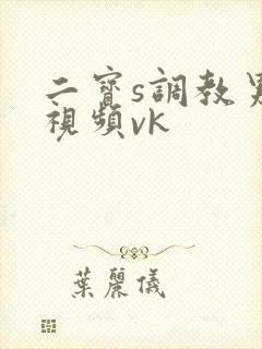二宝s调教男奴视频vk