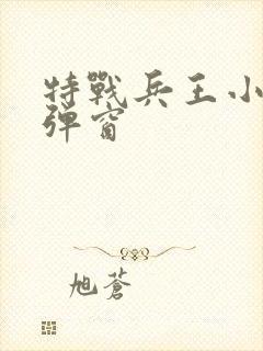 特战兵王小说无弹窗