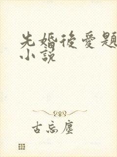 先婚后爱题材的小说