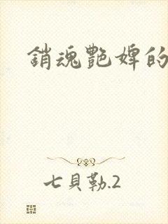 销魂艳婢的小说