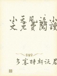 小天风流小说全文免费阅读无弹窗