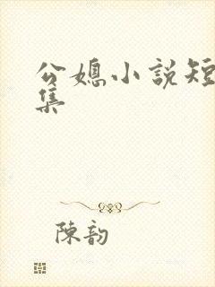 公媳小说短篇合集