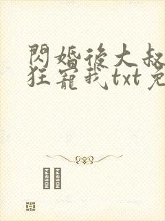 闪婚后大叔每天狂宠我txt免费