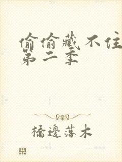 偷偷藏不住漫剧第二季