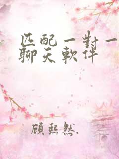 匹配一对一语音聊天软件