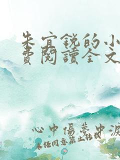 朱宜锐的小说免费阅读全文