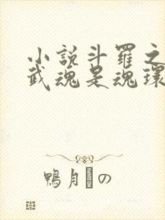 小说斗罗之我的武魂是魂环