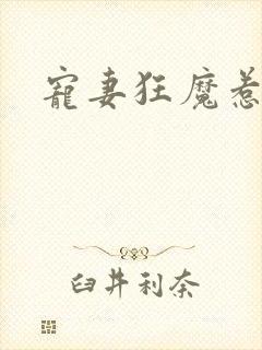 宠妻狂魔惹不得