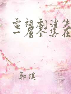 电视剧消失的十一层全集在线观看免费