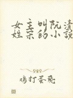 女主叫阮清男主姓宋的小说