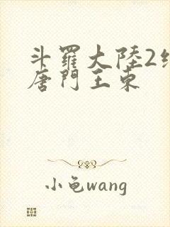 斗罗大陆2绝世唐门王东