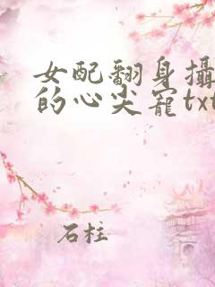 女配翻身摄政王的心尖宠txt